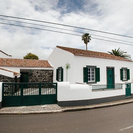 Casa Das Palmeiras São Vicente Ferreira Kültér fotó