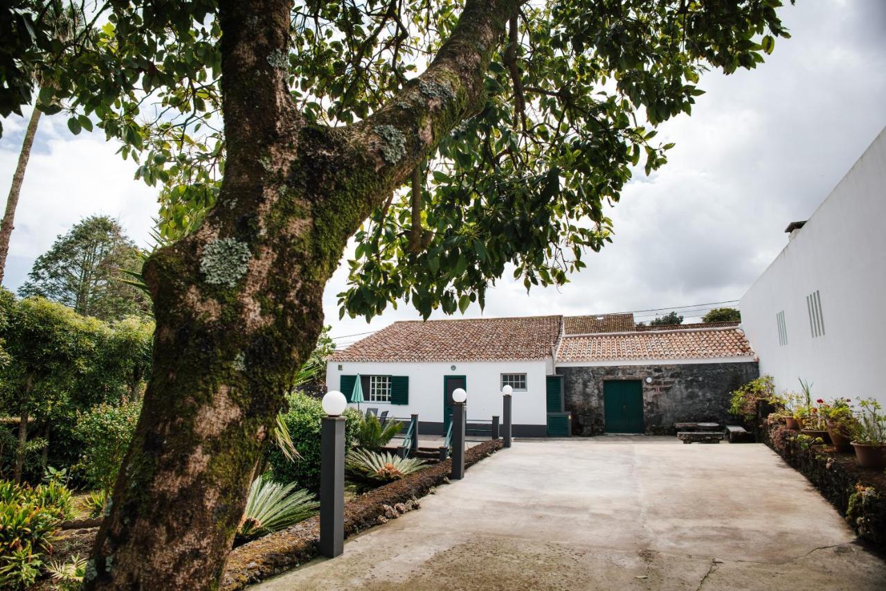 Casa Das Palmeiras São Vicente Ferreira Kültér fotó
